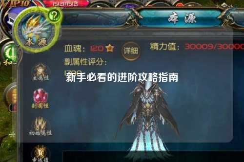 新手必看的进阶攻略指南