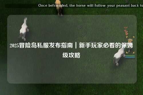 2025冒险岛私服发布指南｜新手玩家必看的保姆级攻略