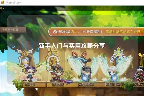 新手入门与实用攻略分享