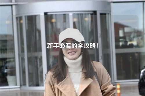 新手必看的全攻略!