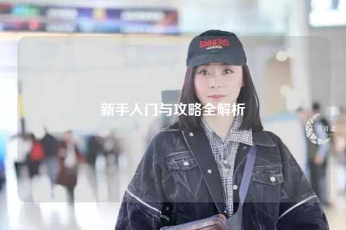 新手入门与攻略全解析