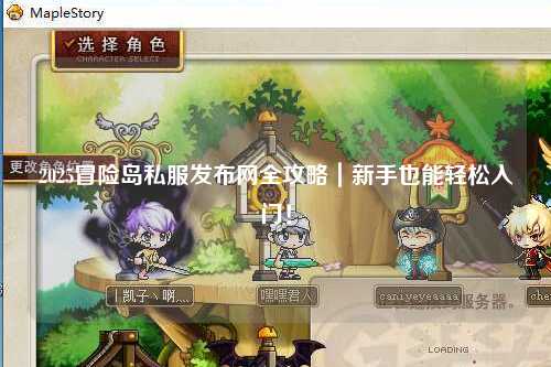 2025冒险岛私服发布网全攻略|新手也能轻松入门!