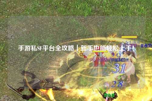 手游私SF平台全攻略|新手也能轻松上手!