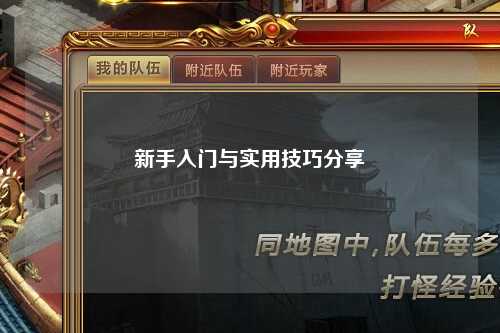 新手入门与实用技巧分享