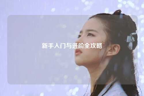 新手入门与进阶全攻略