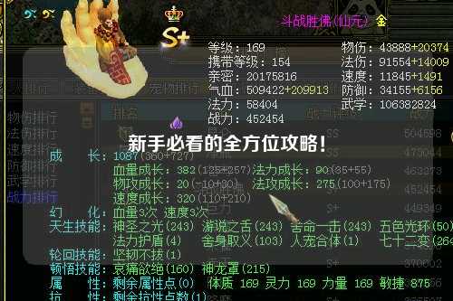 新手必看的全方位攻略!