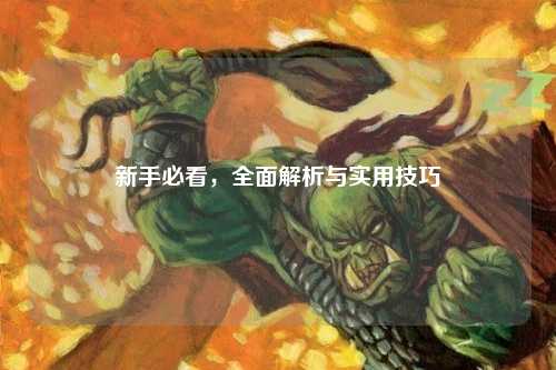 新手必看，全面解析与实用技巧