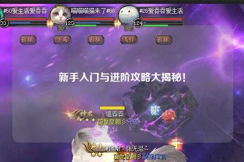 新手入门与进阶攻略大揭秘!