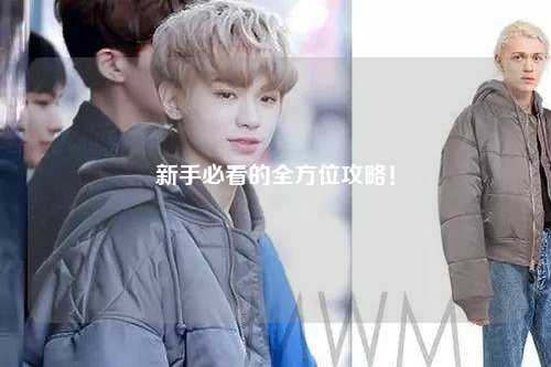 新手必看的全方位攻略!