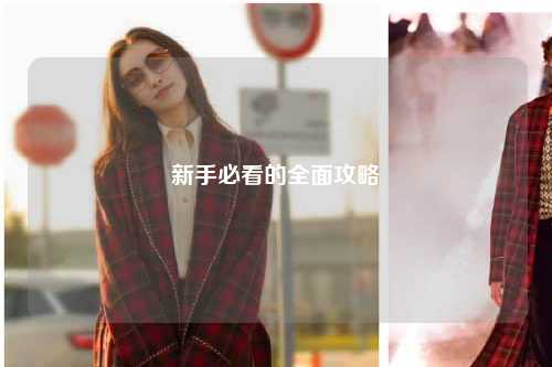 新手必看的全面攻略