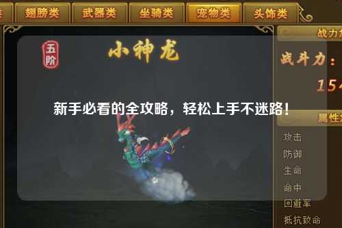 新手必看的全攻略,轻松上手不迷路!